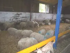 Ferme Cazaux