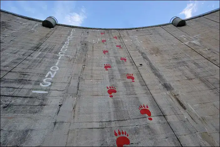 Ours-Reintro-Barrage-Fabreges