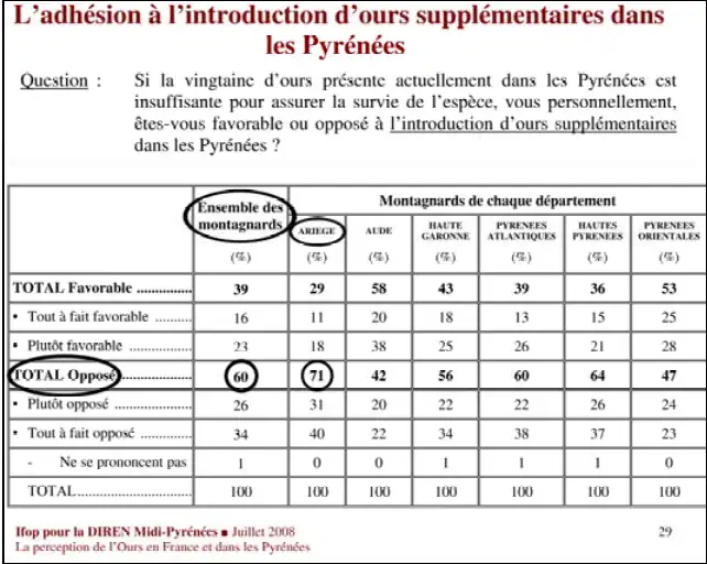 Sondage