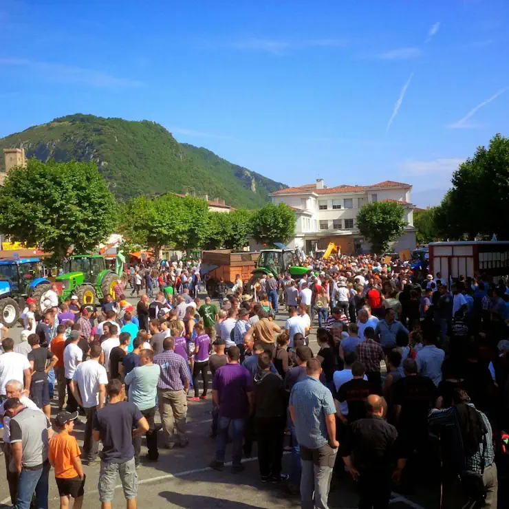 Manif Foix