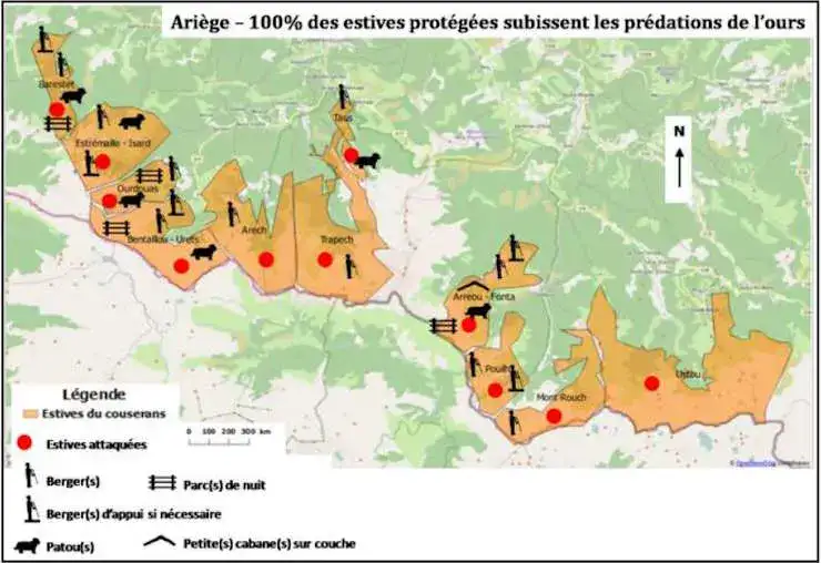 Prédations ours