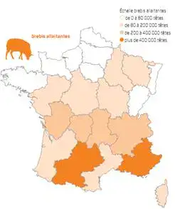 Ovinpiades