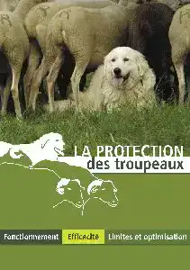 Chien de rotection
