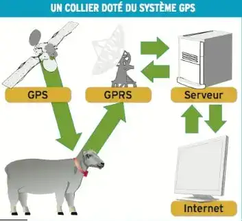 Collier GPS