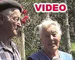 Senat Filière Ovine