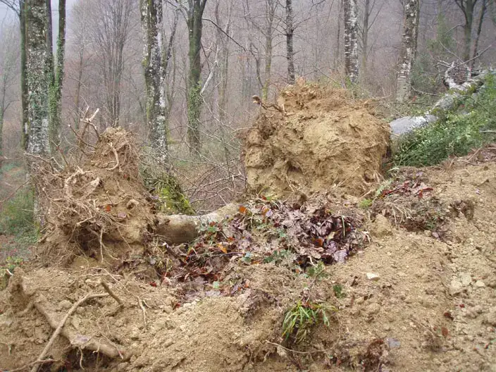 Bruges-Montcaut Projet de carriere de lherzolite