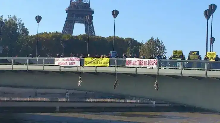 Manifestation-FERUS-Paris