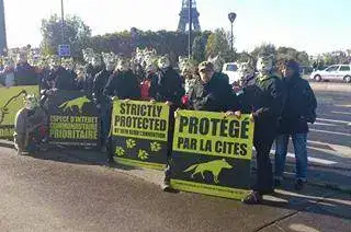 Manifestation-FERUS-Paris