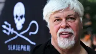 Paul Watson