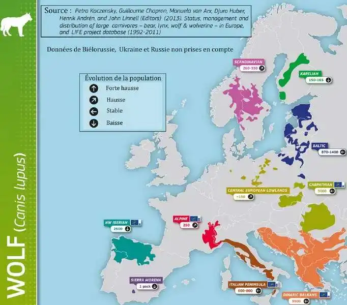 Repartition-Loups-Europe