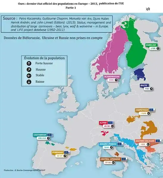 2013 BIlan présence loups