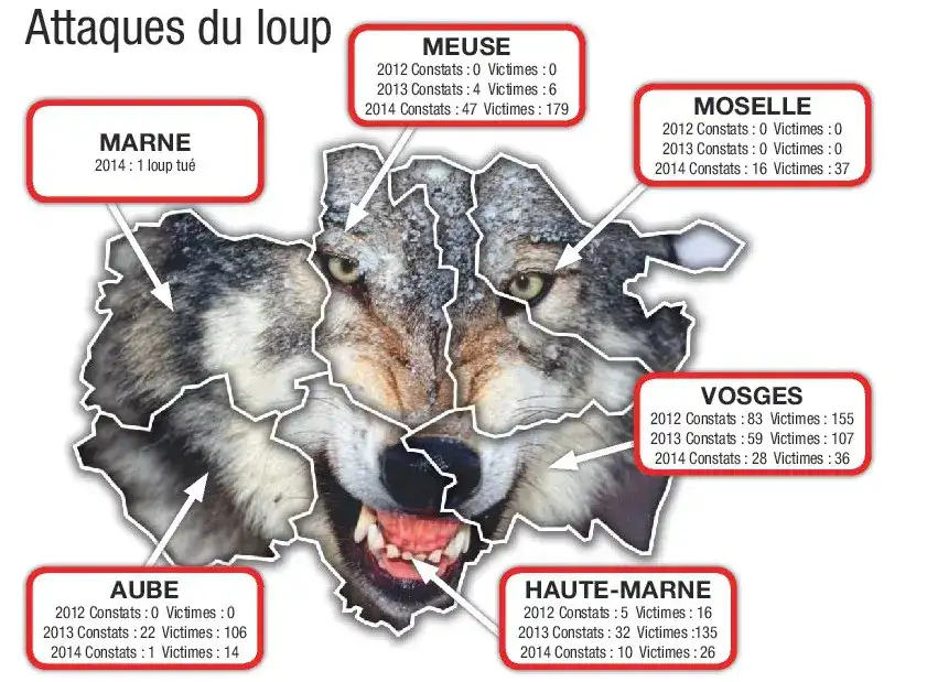 2014-Attaques-Loups