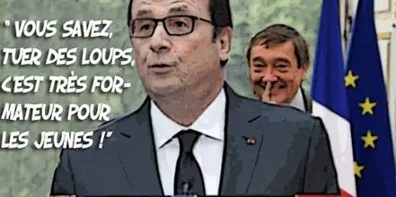 Hollande-Emplois-Jeunes