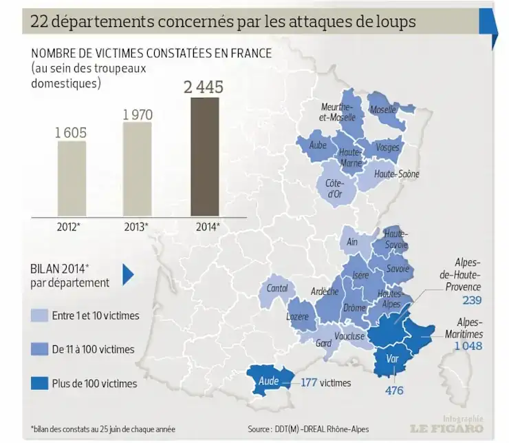 Bilan-degats-Predations-Loups