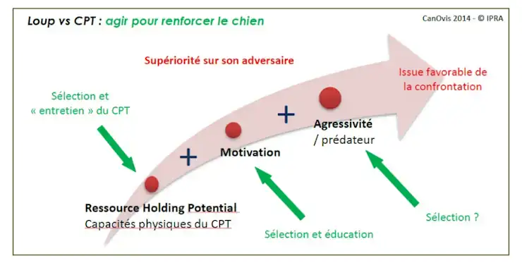 Rapports-Etudes-Plans-Reflexions