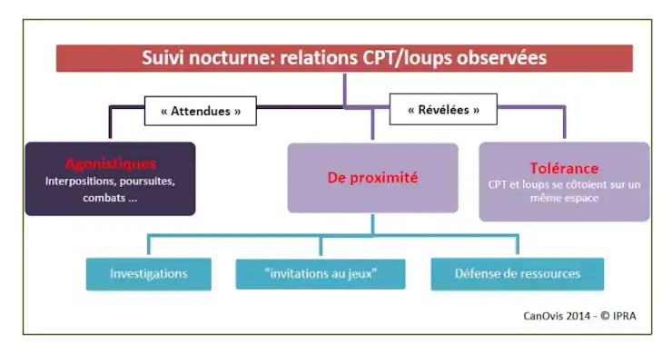 Rapports-Etudes-Plans-Reflexions