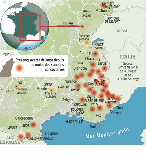 Carte présence loup