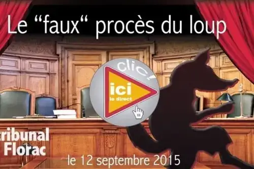 vrai-faux-proces-du-loup-au-tribunal-de-florac