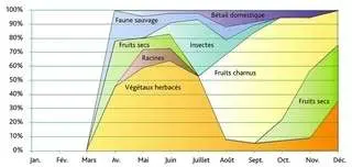 Diagramme alimentaire