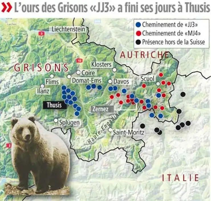 Ours-Suisse-Deplacements-carte