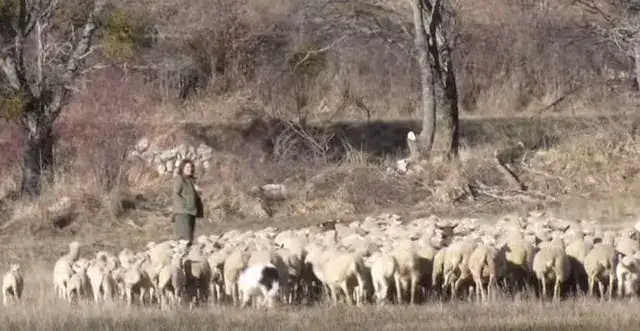 2014-04-18-Video-Loup-Tout-Pri