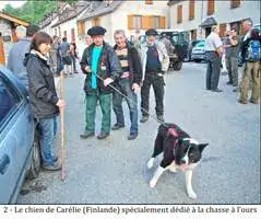Ours Effarouchement Saint-Lary