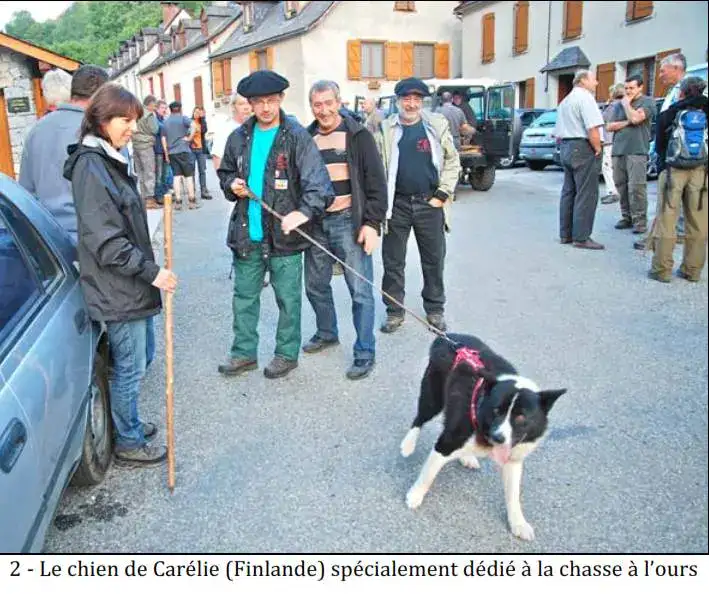 Ours Effarouchement Saint-Lary