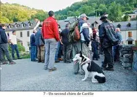 Ours Effarouchement Saint-Lary