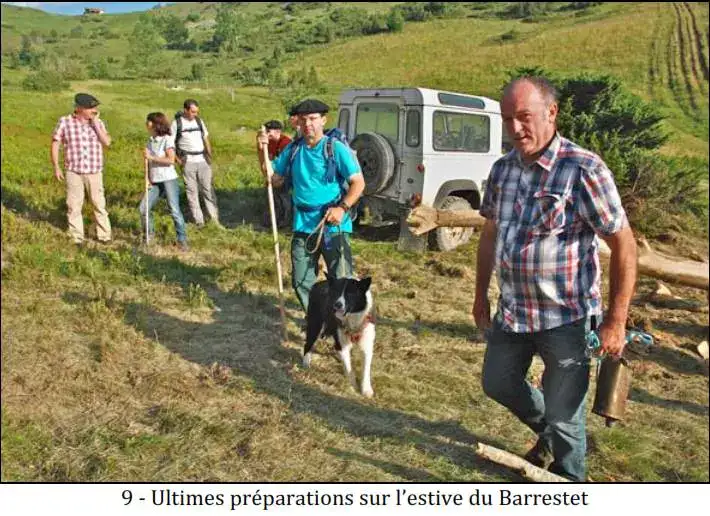 Ours Effarouchement Saint-Lary