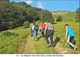 Ours Effarouchement Saint-Lary