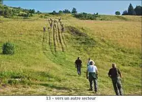 Ours Effarouchement Saint-Lary