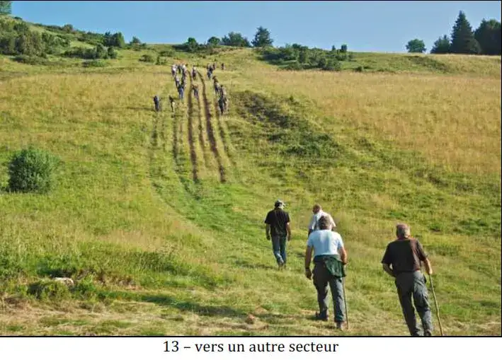 Ours Effarouchement Saint-Lary