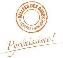 Logo Pyrenissime