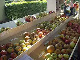 2008-Fete-Chataignes-Baronnies