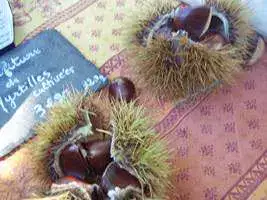 2008-Fete-Chataignes-Baronnies