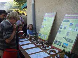 2008-Fete-Chataignes-Baronnies