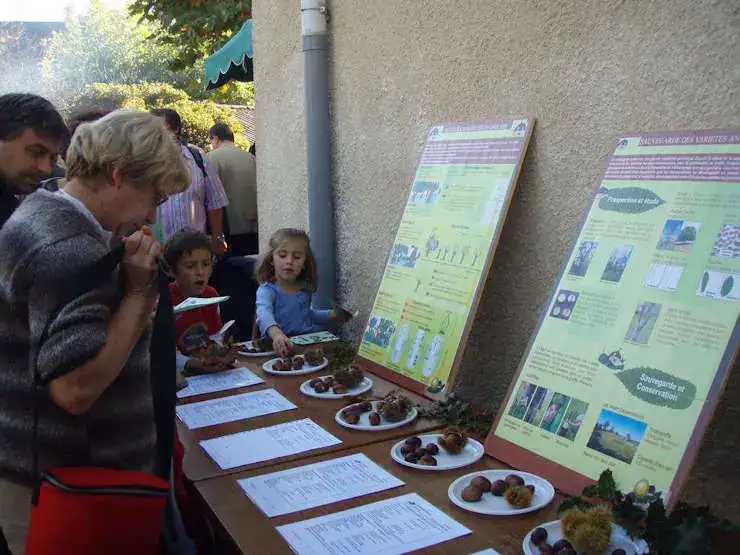 2008-Fete-Chataignes-Baronnies