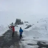 Piau Angaly