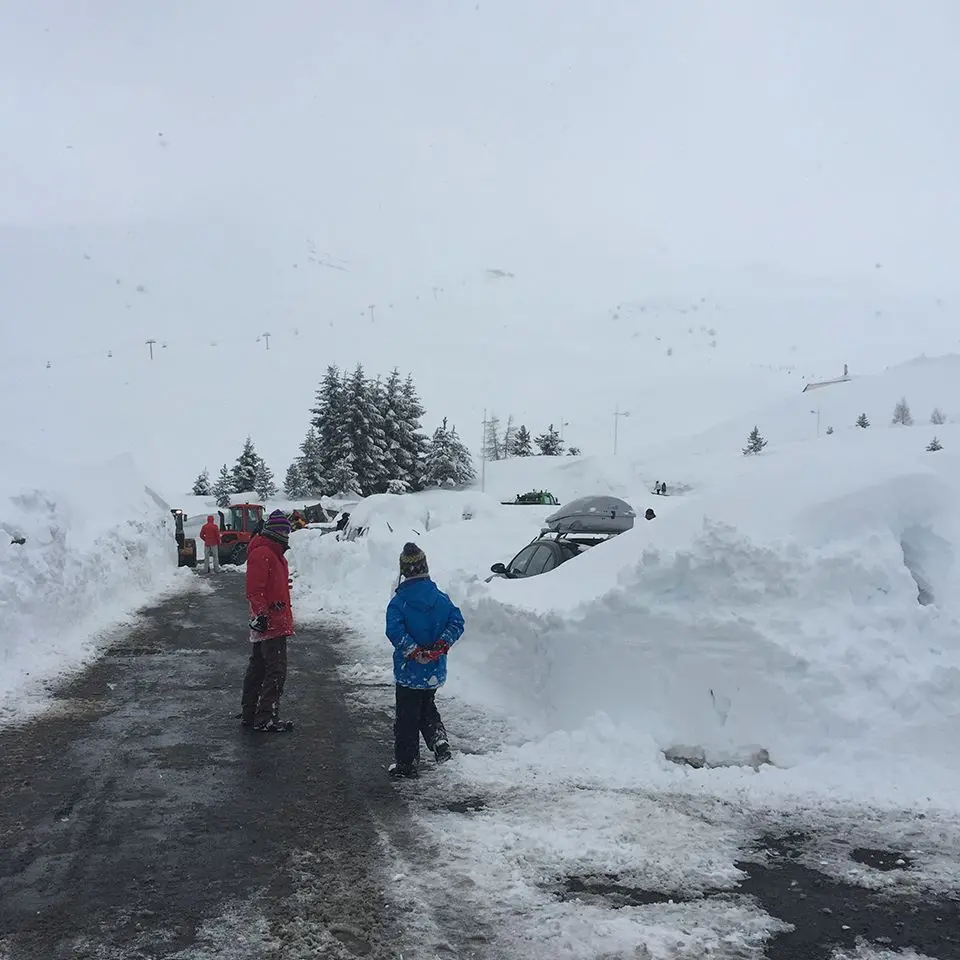 Piau Angaly