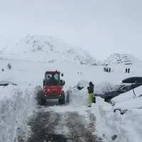 Piau Angaly