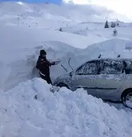 Piau Angaly